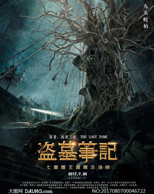 洛林斯学院商业管理文凭证书